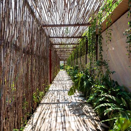 Natu Boutique Stays Sao Miguel dos Milagres Ngoại thất bức ảnh